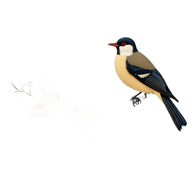 Free transparent PNG: Chinoiserie Floral and Bird Fabric  Decorative Clipart Set, free png download