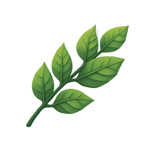 Free transparent PNG: Fresh Bay Leaf  Herb Clipart, free downloadable png