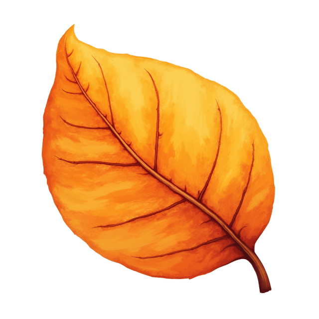 Free transparent PNG: Deep Amber Leaf Spiral Watercolor Illustration for Nature and Decorative Art