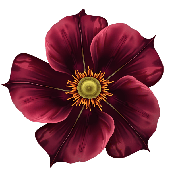 Free transparent PNG: Deep Maroon Rose with Gold Veining Clipart Illustration on Transparent Background