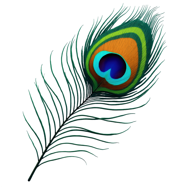 Free transparent PNG: Iridescent Peacock Feather  Free Teal Edge PNG Download