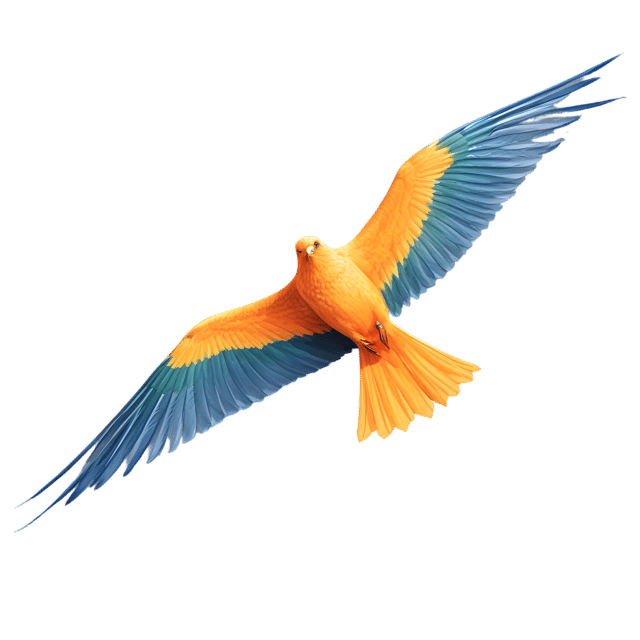 Free transparent PNG: Kite Bird PNG with Transparent Background for Art and Design