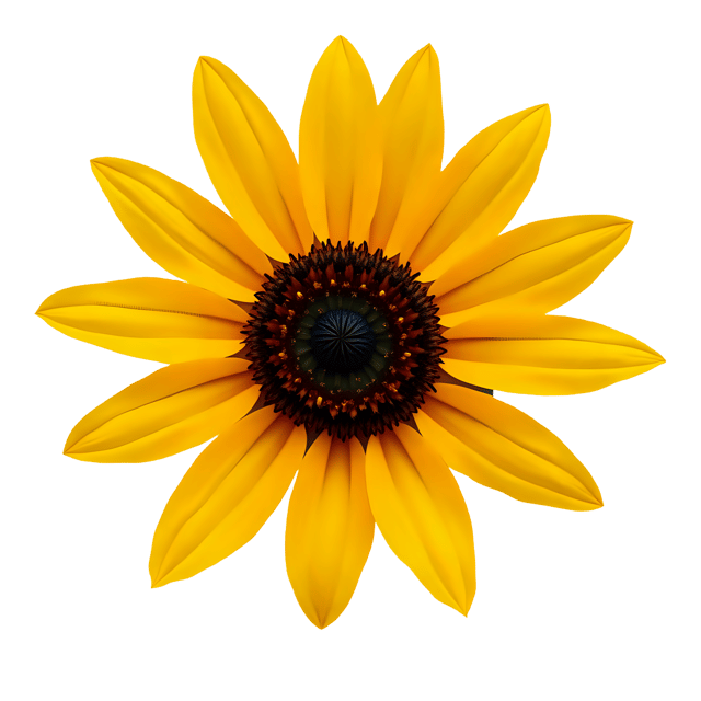 Free transparent PNG: Bright Yellow Sunflower Transparent PNG for Floral Design and Crafts