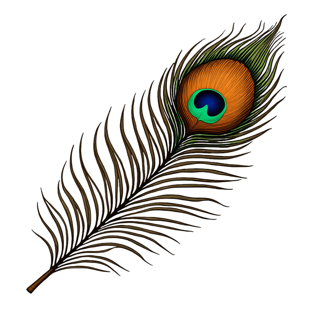 Free transparent PNG: Iridescent Peacock Feather  Free Downloadable PNG Clipart with Bronze Shimmer