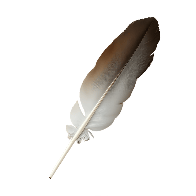 Free transparent PNG: Curved Flight Feather  Nature Clipart, free transparent png download