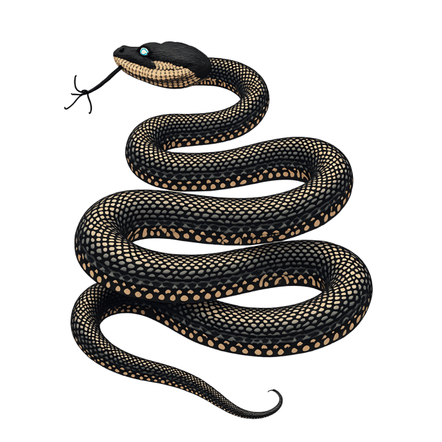 Free transparent PNG: Snake PNG Clipart  Ideal for Animal Projects, Crafts  Education