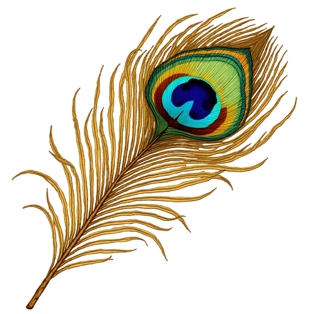 Free transparent PNG: Iridescent Peacock Feather on Golden Plate PNG Clipart  Perfect for Elegant Design  Decor