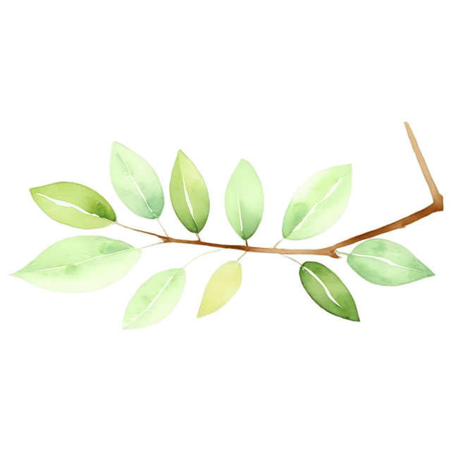 Free transparent PNG: Leafy Branch Watercolor Illustration – Transparent PNG for Design and Art