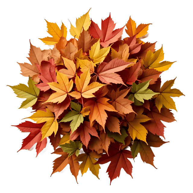 Free transparent PNG: Leaf Pile  Autumn Nature Clipart, free downloadable png