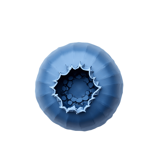 Free transparent PNG: Blueberry PNG  Perfect for Food Projects, Decor  Crafts