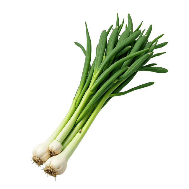 Free transparent PNG: Leek PNG Clipart  Perfect for Vegetable Projects  Healthy Recipes