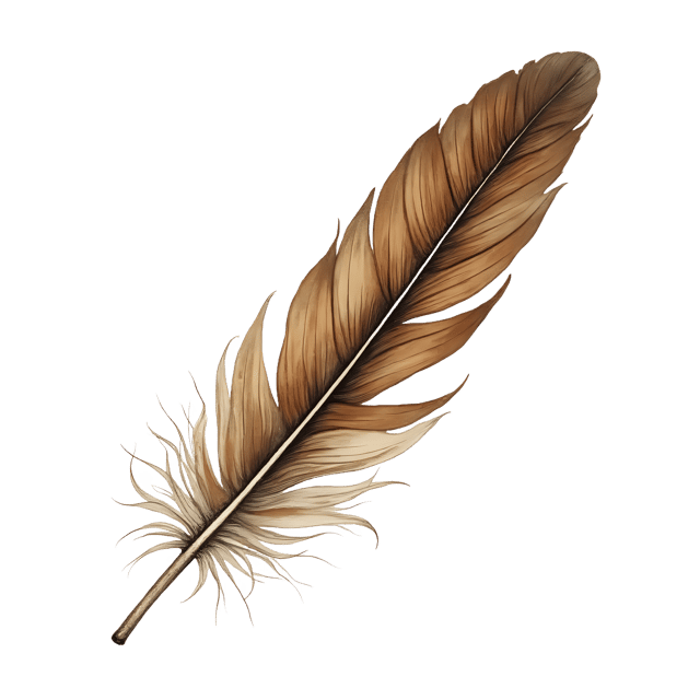 Free transparent PNG: Delicate Feather Tip  Warm Flannel Clipart, free transparent png download