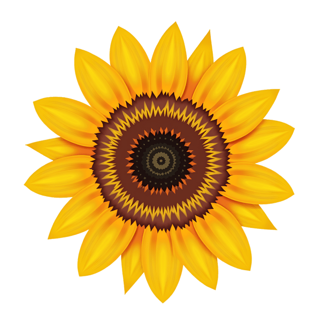 Free transparent PNG: Bright-Cyan Sunflower PNG Illustration with Large Center and Petals for Decorative Use