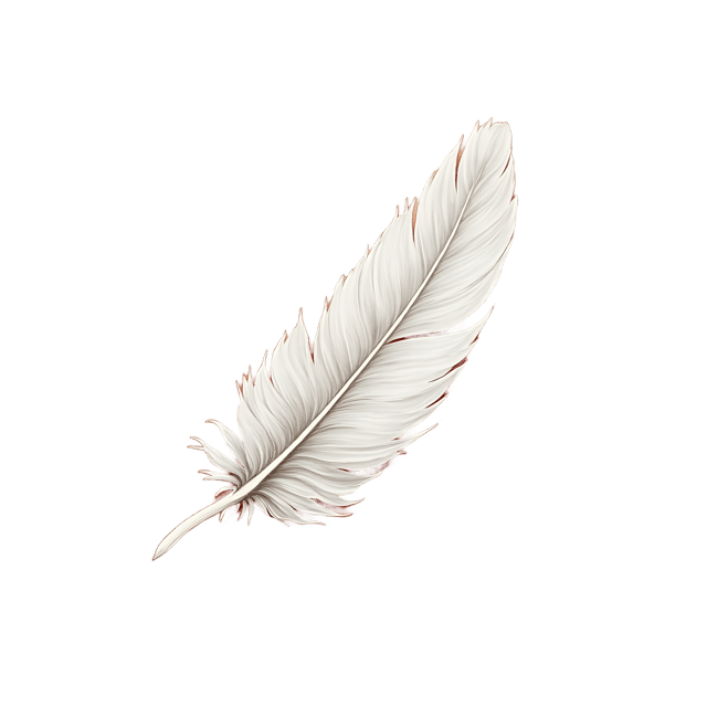 Free transparent PNG: Soft White Feather on Warm Fabric  Elegant Clipart, Free PNG Download