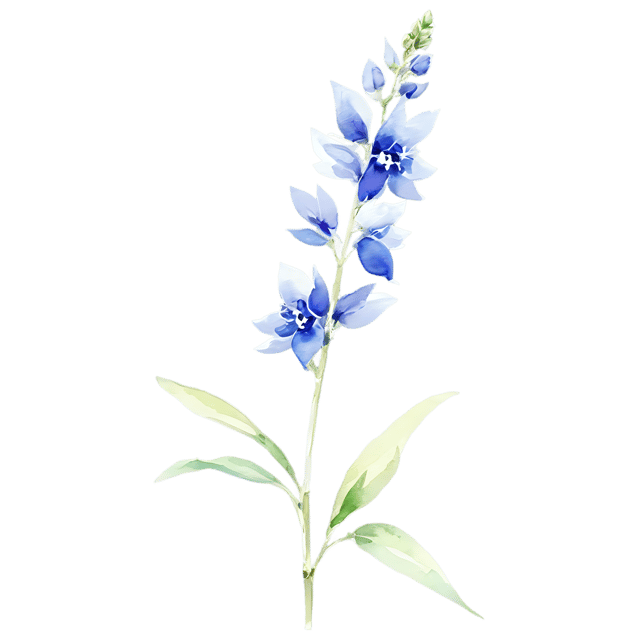 Free transparent PNG: Delphinium Watercolor Illustration - Transparent PNG Flower Clipart