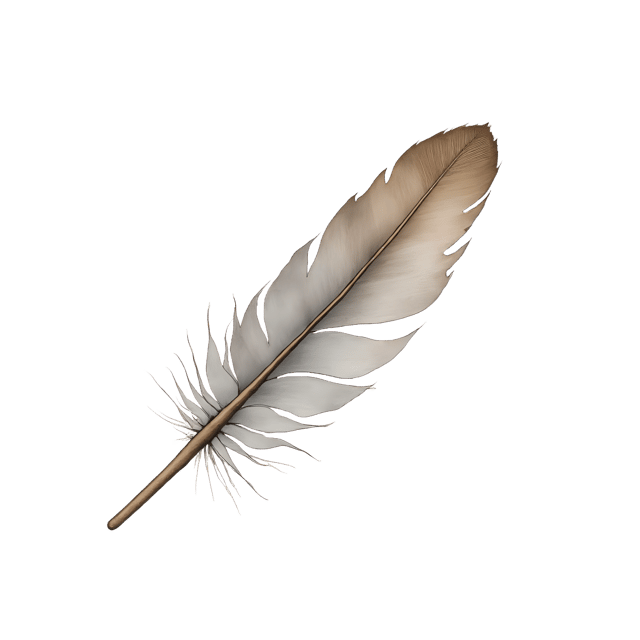 Free transparent PNG: Delicate Feather Tip  Elegant Png Clipart, Free Download
