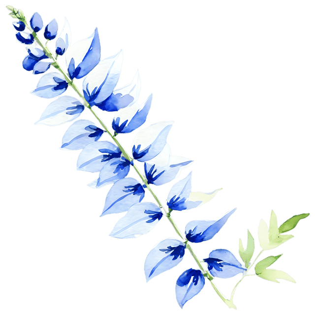 Free transparent PNG: Watercolor Delphinium Flower Transparent PNG – Gentle Illustration for Nature Lovers