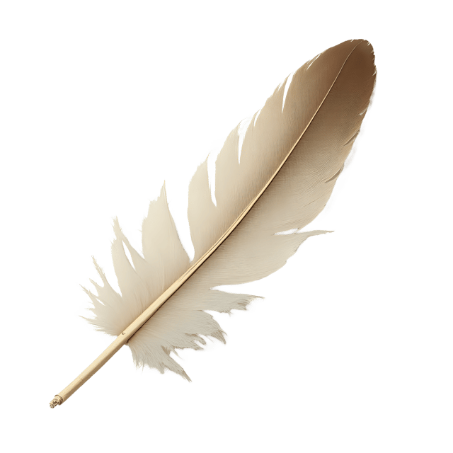 Free transparent PNG: Fluffy Down Feather Under White Tulle  Elegant Clipart, free downloadable png