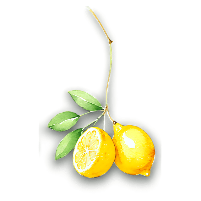 Free transparent PNG: Lemon Watercolor Illustration - Transparent PNG for Bright and Fresh Designs