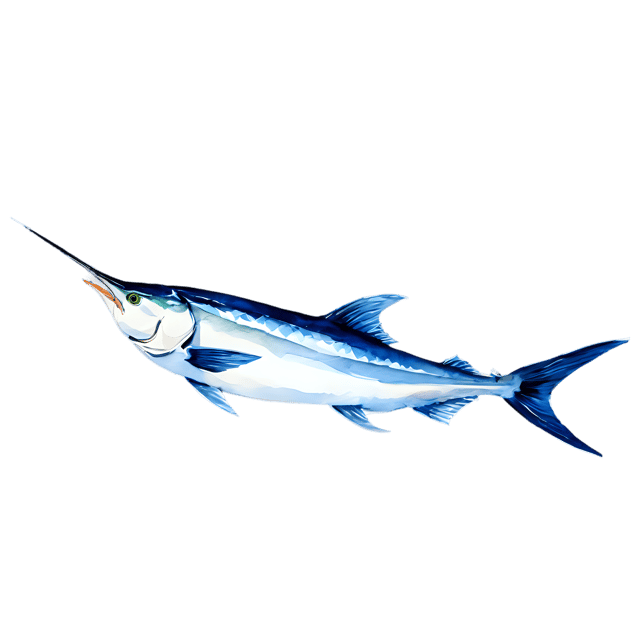 Free transparent PNG: Marlin Fish Transparent Watercolor Illustration - Gentle Fish Clipart