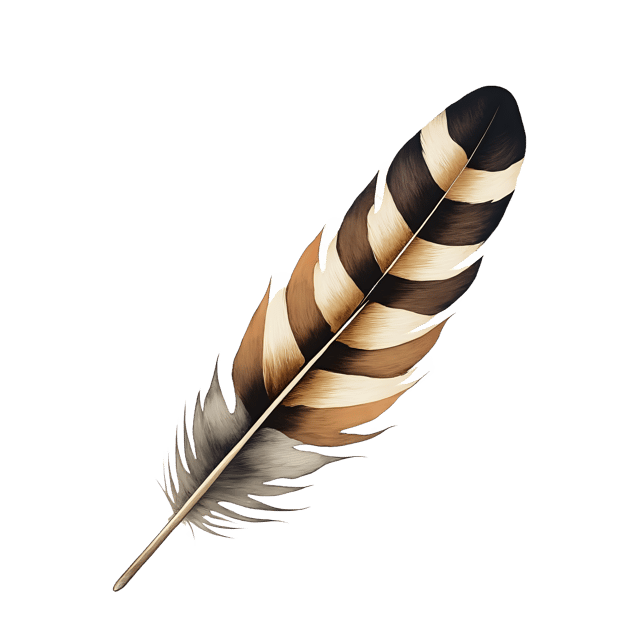 Free transparent PNG: Striped Bird Feather  Nature Clipart, free transparent png download