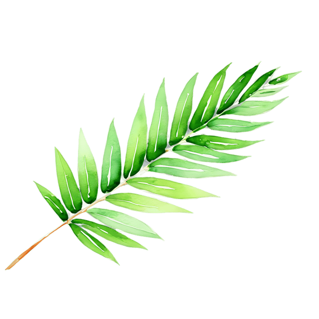 Free transparent PNG: Transparent Palm Leaf Watercolor Illustration - Gentle and Versatile Artwork