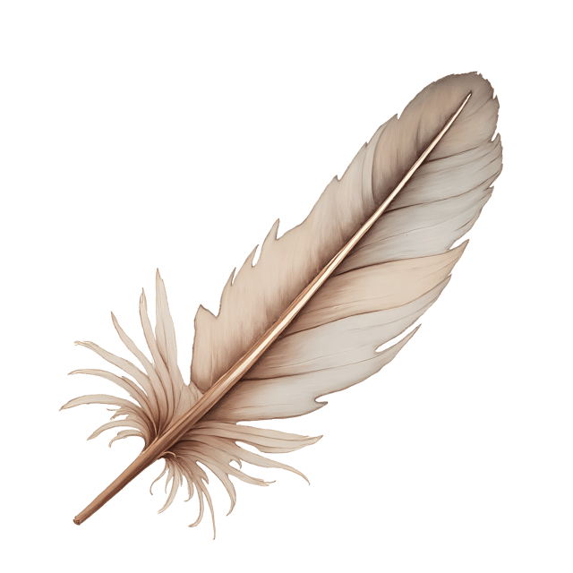 Free transparent PNG: Fluffy Down Feather  Floral Fabric Clipart, free downloadable png