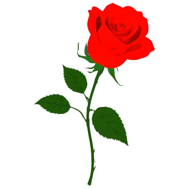 Free transparent PNG: Single Red Rose PNG with Transparent Background for Floral Design and Clipart