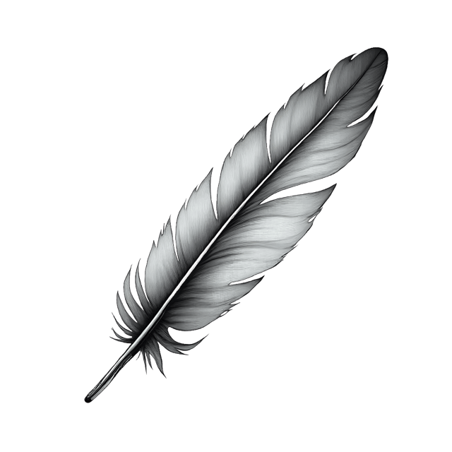 Free transparent PNG: Curved Flight Feather  Bird Clipart, free high-quality png download