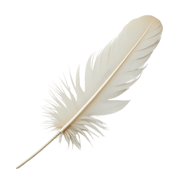 Free transparent PNG: Soft White Feather Beside Tiny Thread  Elegant Clipart, Free Download PNG