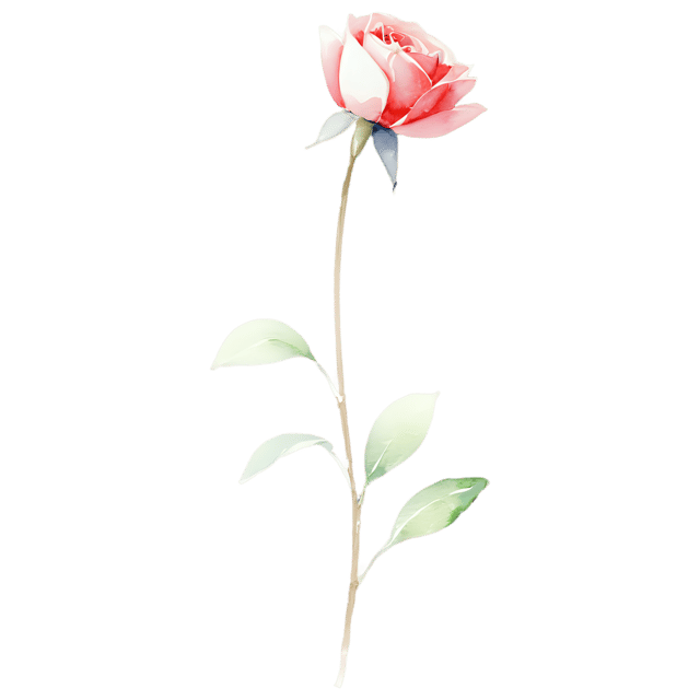 Free transparent PNG: Watercolor Stem Design Element PNG – Transparent and Elegant Illustration