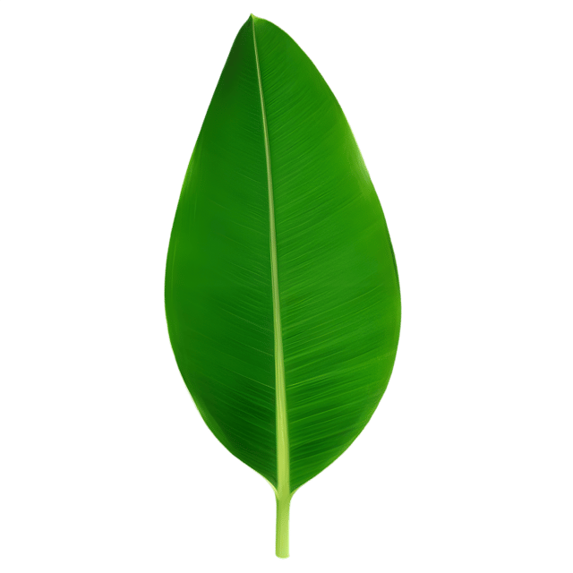 Free transparent PNG: Banana Leaf Transparent PNG for Nature and Design Use