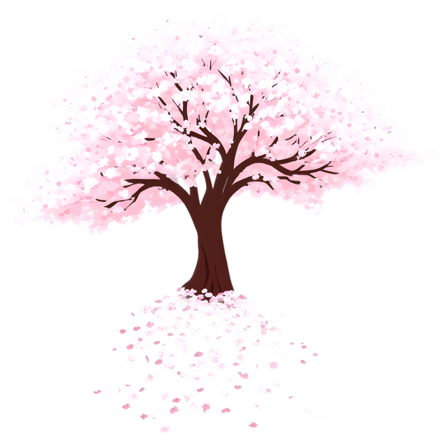 Free transparent PNG: Cherry Tree Blossom PNG with Transparent Background for Nature Imagery
