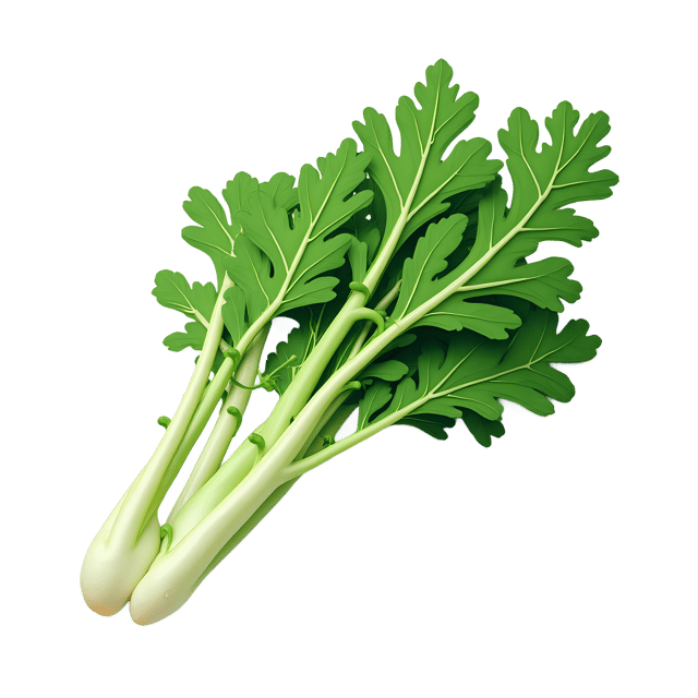 Free transparent PNG: Fresh Horseradish Leaves  Botanical Clipart, free downloadable png