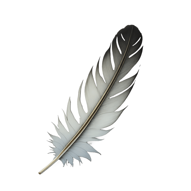 Free transparent PNG: Curved Flight Feather Beside Broken Glass  Nature Scene Clipart, free downloadable png