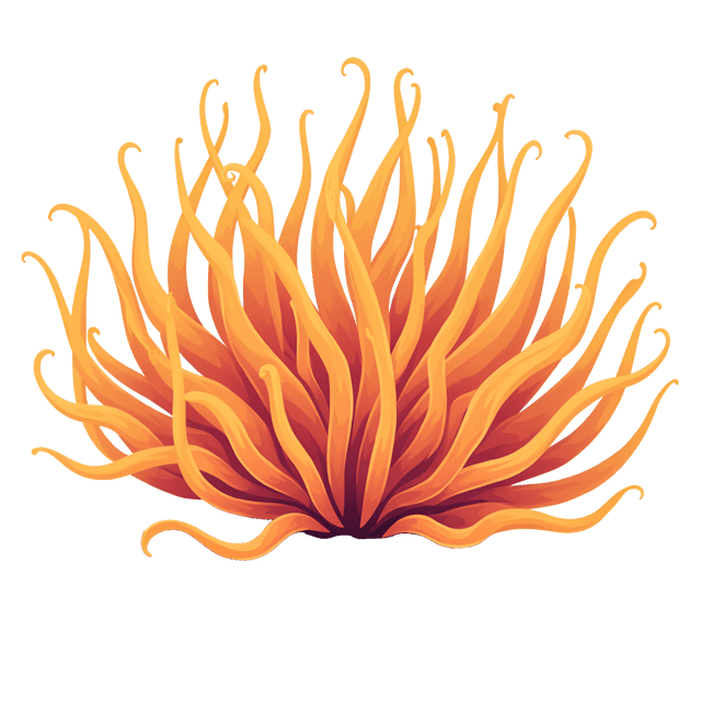 Free transparent PNG: Elegant Orange Sea Anemone Clipart with Soft Tentacles