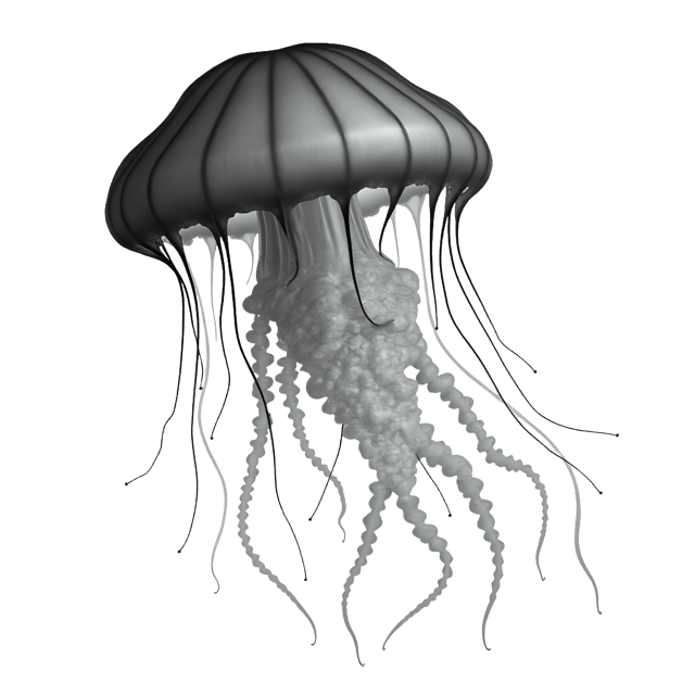 Free transparent PNG: Jellyfish PNG Clipart  Ideal for Marine Life Projects  Decor
