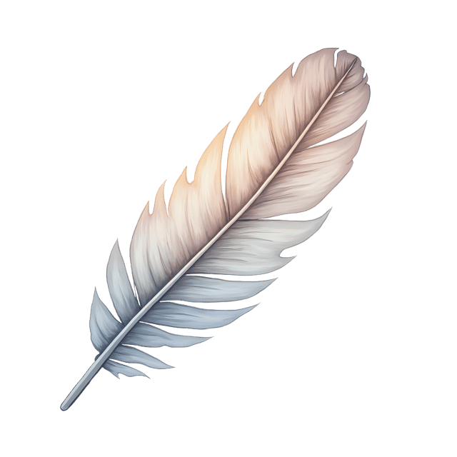 Free transparent PNG: Curved Flight Feather  Vector Clipart, free high-quality png download