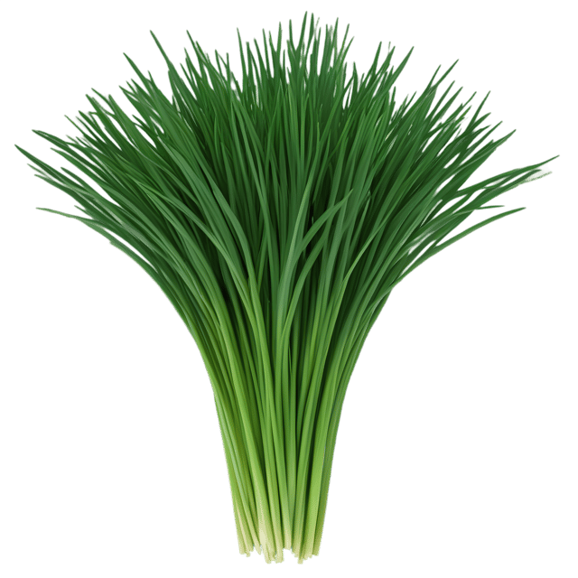 Free transparent PNG: Chives Herb PNG with Transparent Background for Botanical Design