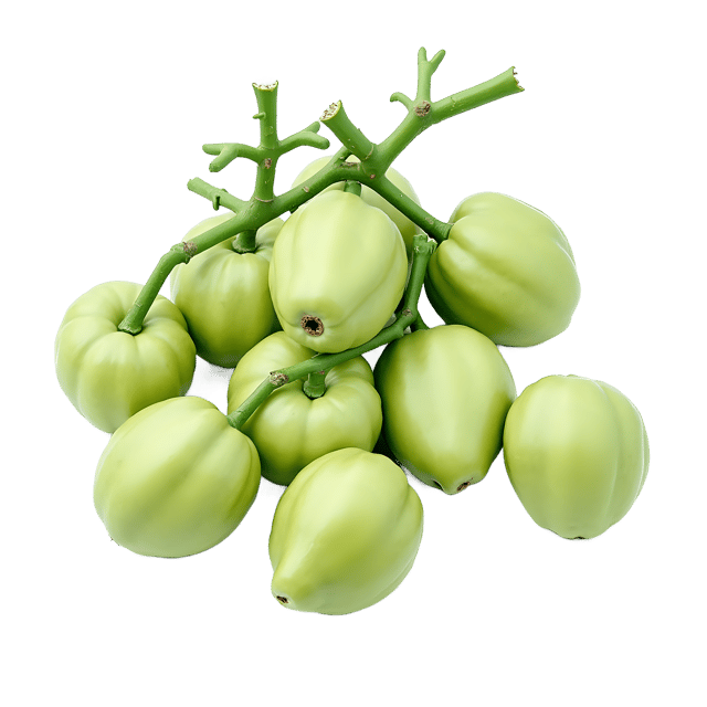 Free transparent PNG: Chayote Green Vegetable Drawing for Kitchen and Garden Illustrations