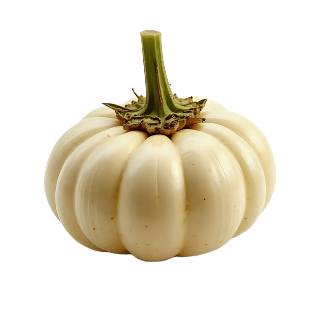 Free transparent PNG: Turnip PNG Clipart  Ideal for Vegetable Designs  Educational Projects