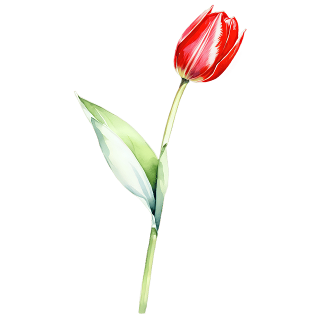 Free transparent PNG: Watercolor Tulip Leaf Transparent PNG – Gentle Illustration for Nursery or Craft Projects