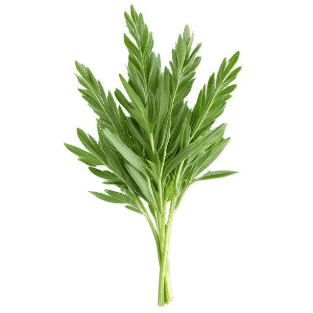 Free transparent PNG: Savory Herb Transparent PNG for Culinary and Decorative Use