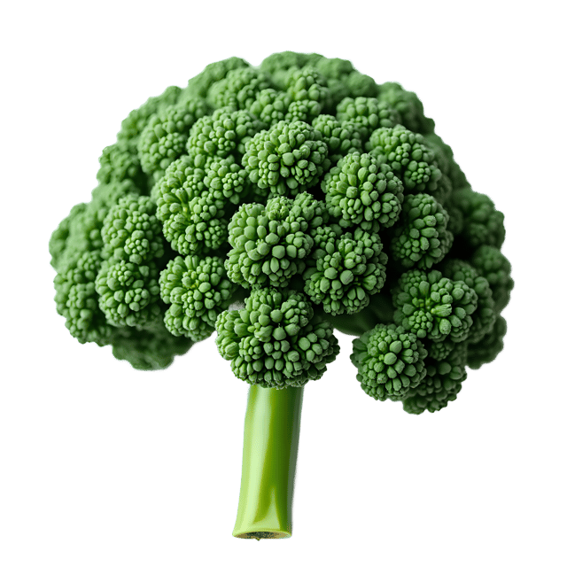 Free transparent PNG: Kale PNG Clipart  Ideal for Health Projects, Education  Decor