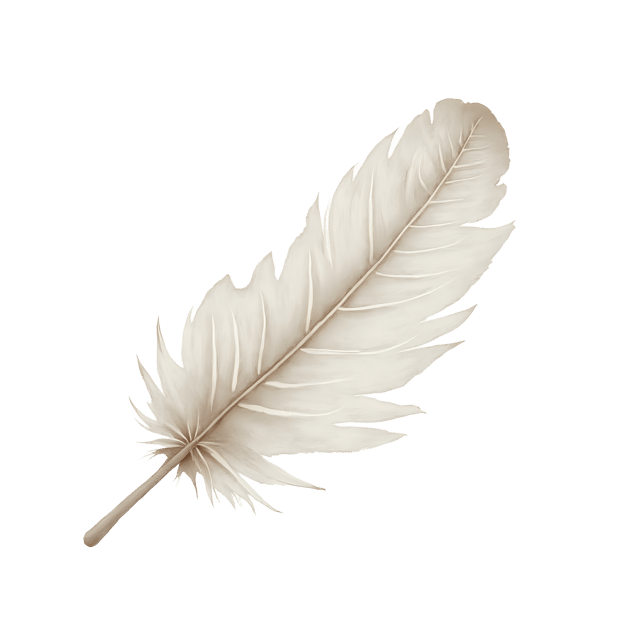 Free transparent PNG: Soft White Feather  Elegant Clipart, free high-quality png download