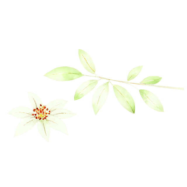 Free transparent PNG: Vintage Floral Watercolor Print – Transparent PNG for Decor & Crafts