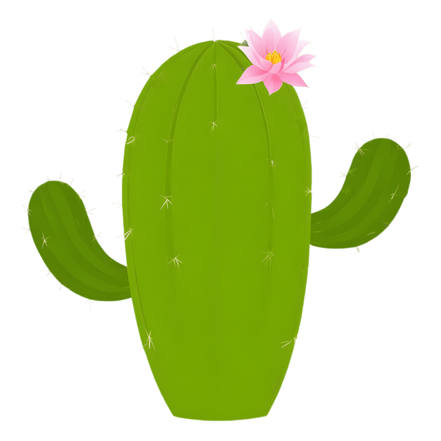 Free transparent PNG: Transparent Cactus PNG for Art and Design Projects