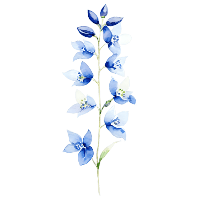 Free transparent PNG: Watercolor Delphinium Flower Transparent PNG – Gentle Illustration for Designers & Creators