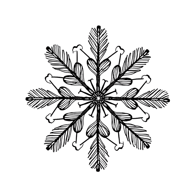 Free transparent PNG: Hand-Drawn Snowflake Sketch PNG Clipart  Perfect for Winter Crafts  Designs