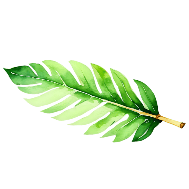 Free transparent PNG: Watercolor Banana Leaf PNG – Transparent Background Plant Illustration